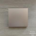 E6 CHAMPAGNE 1G1W