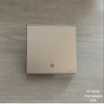 E6 CHAMPAGNE 20A D/P