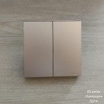E6 CHAMPAGNE 2G1W