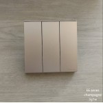E6 CHAMPAGNE 3G1W