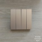 E6 CHAMPAGNE 4G1W