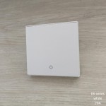 E6 WHITE 20A D/P