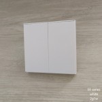 E6 WHITE 2G1W