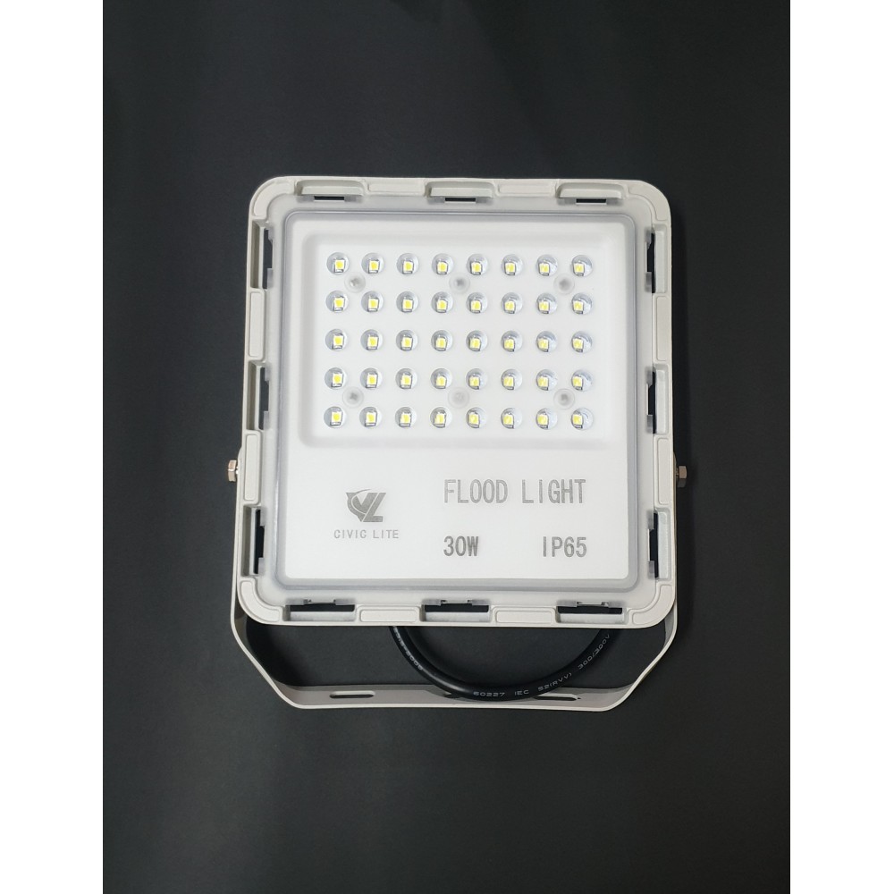 CIVIC LITE LED 30W FLOOD LIGHT